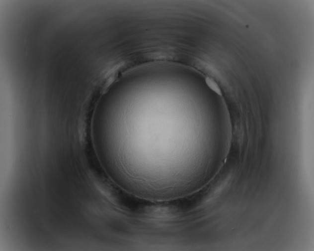 X0000088210255200705221749