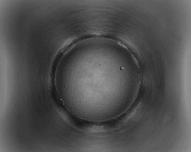 X0000088210256200705221749