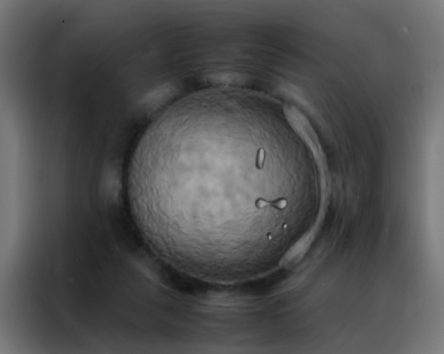 X0000088210259200705221749