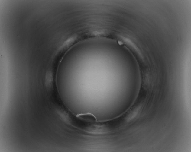 X0000088210260200705221749