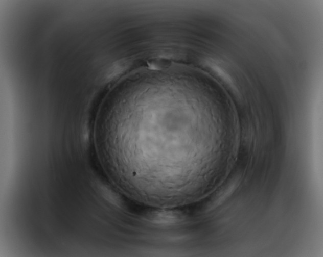 X0000088210261200705221749