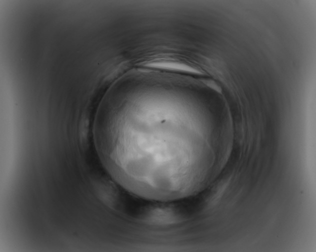 X0000088210263200705221749