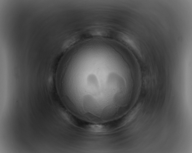 X0000088210265200705221749