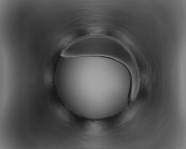X0000088210268200705221749