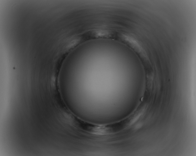 X0000088210269200705221749