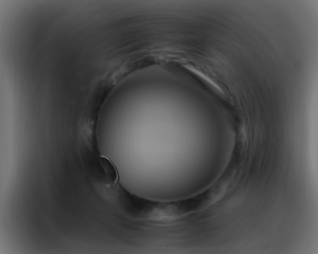 X0000088210271200705221749