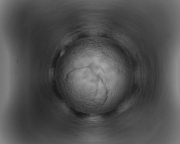 X0000088210278200705221749