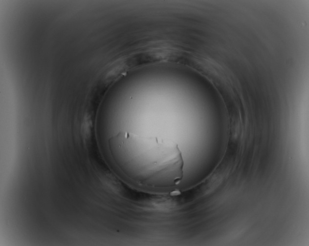 X0000088210279200705221749