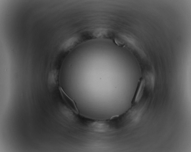 X0000088210280200705221749