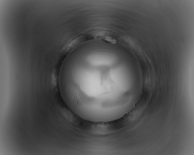 X0000088210282200705221749