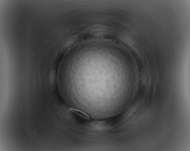 X0000088210283200705221749