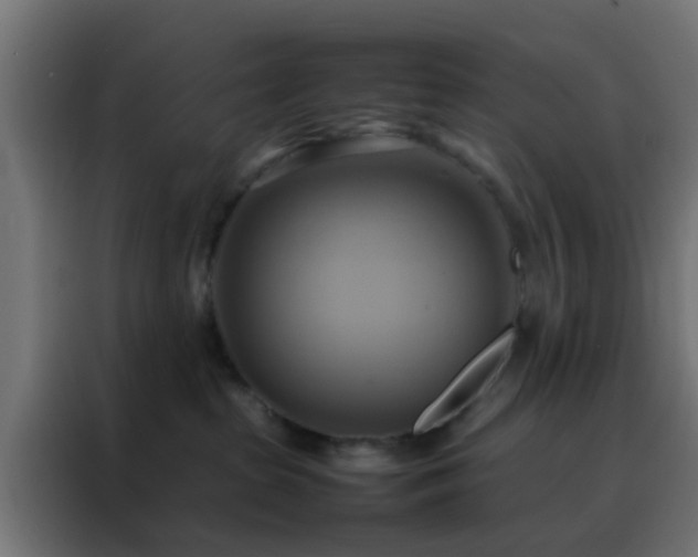X0000088210285200705221749