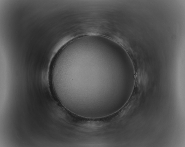 X0000088210292200705221749