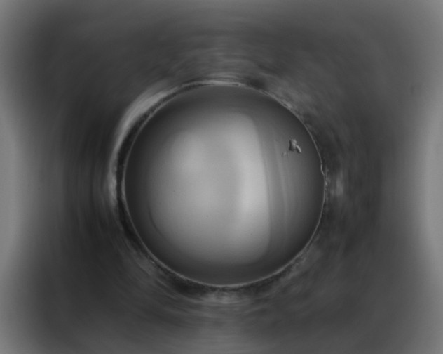X0000088210294200705221749
