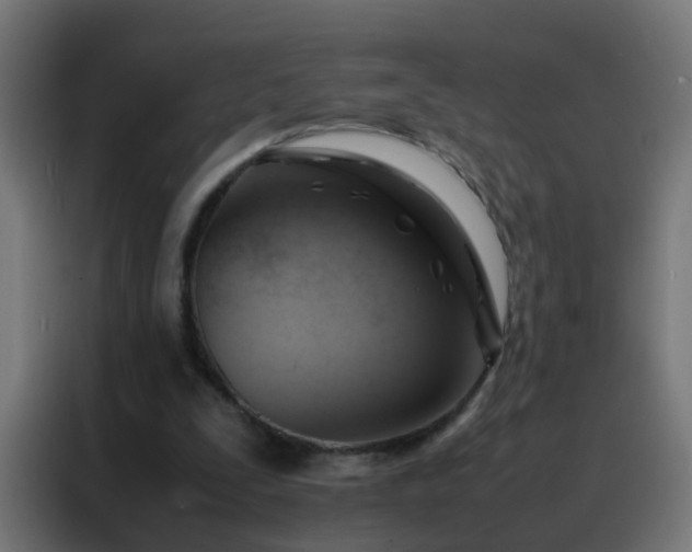 X0000088210295200705221749