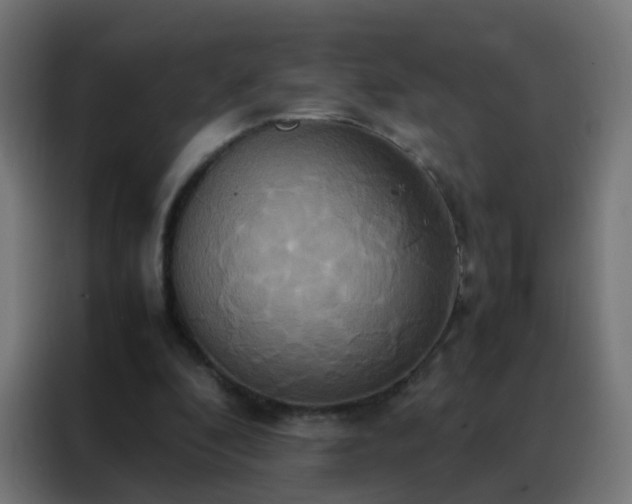 X0000088210296200705221749