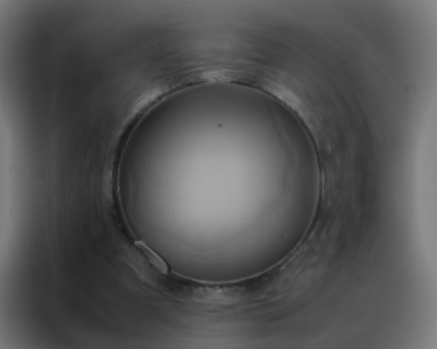 X0000088210297200705221749