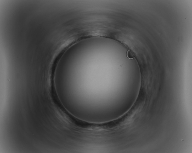 X0000088210299200705221749