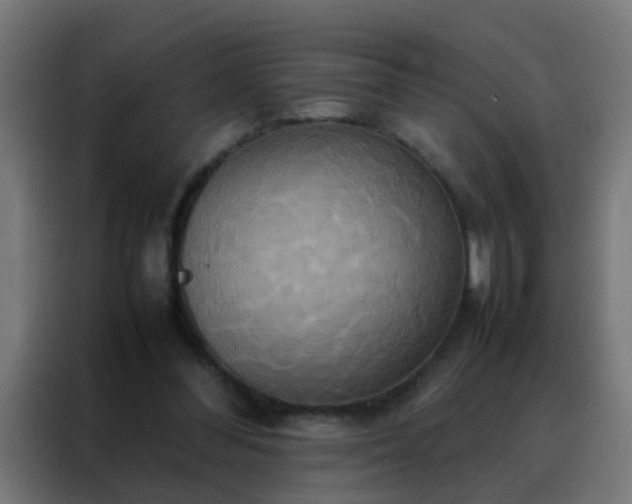 X0000088210300200705221749
