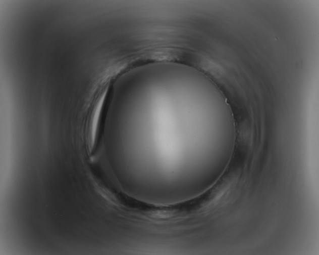 X0000088210303200705221749