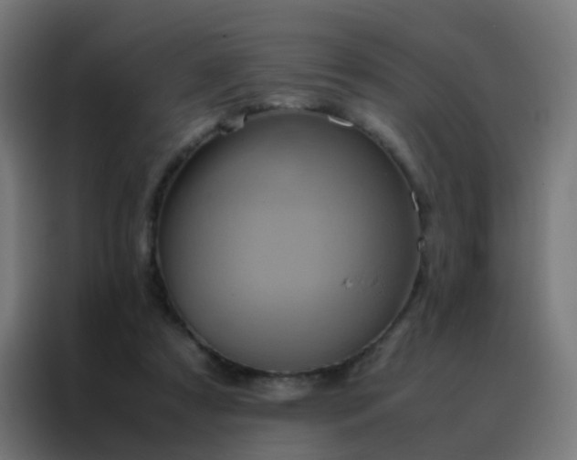 X0000088210305200705221749