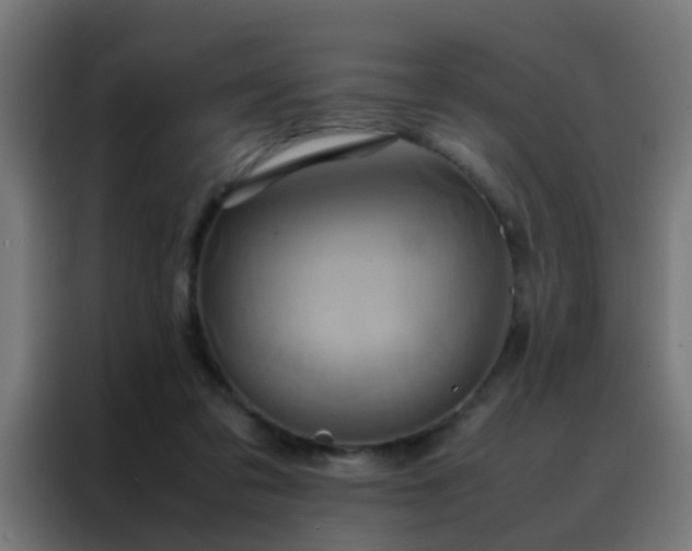 X0000088210309200705221749