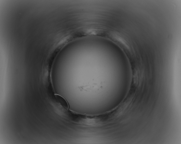 X0000088210314200705221748