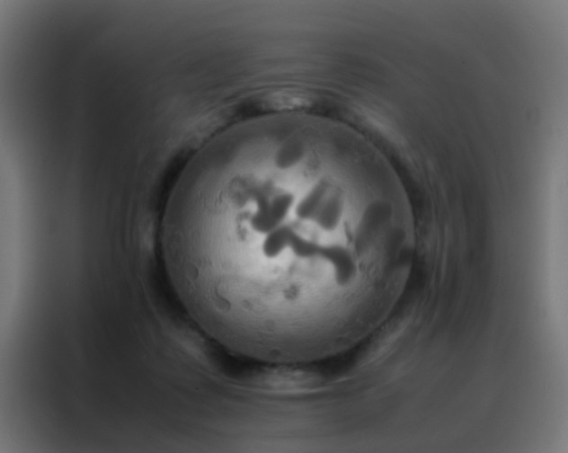 X0000088210315200705221748