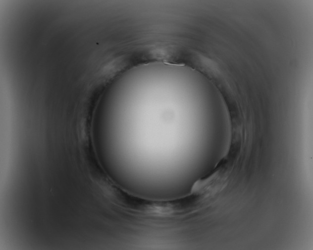 X0000088210317200705221748