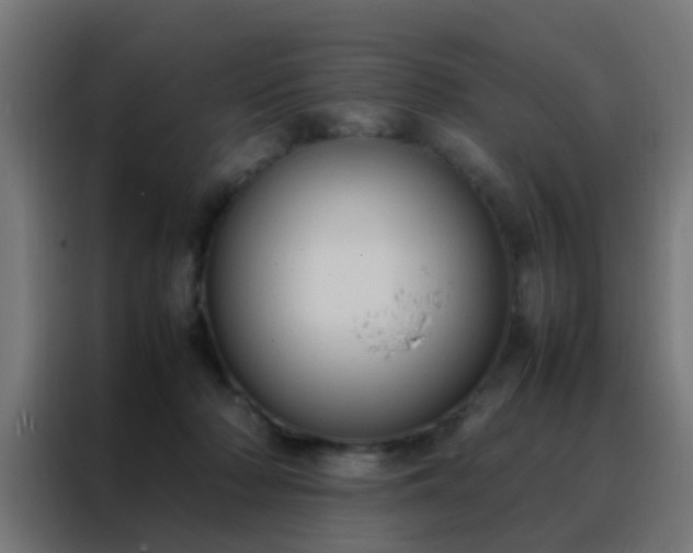 X0000088210318200705221748