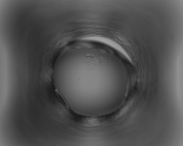 X0000088210325200705221748