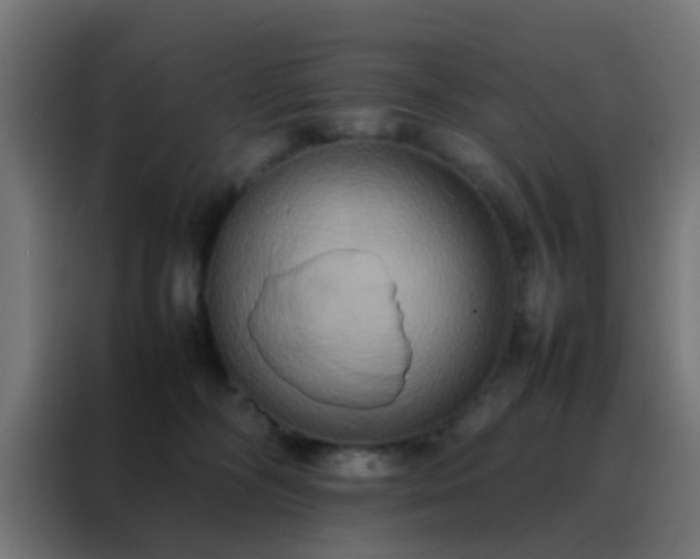 X0000088210326200705221748
