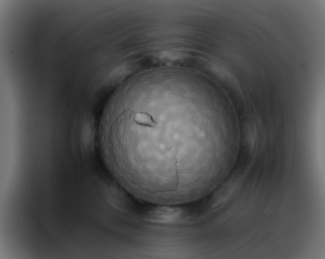 X0000088210328200705221748