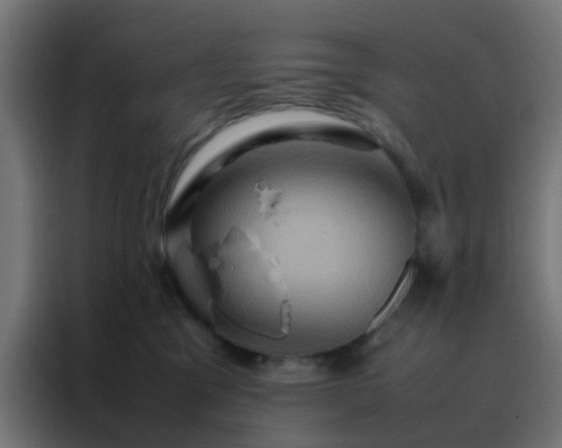 X0000088210329200705221748