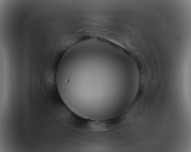 X0000088210331200705221748