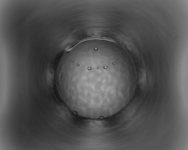 X0000088210332200705221748