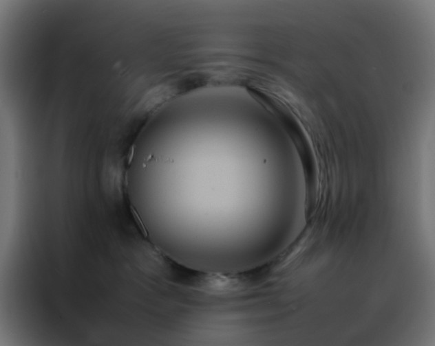 X0000088210333200705221748