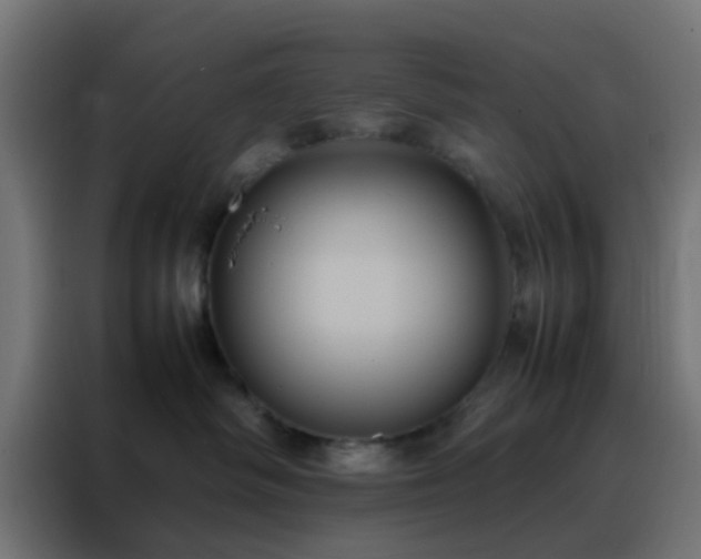 X0000088210334200705221748