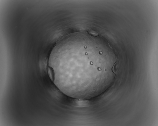 X0000088210336200705221748