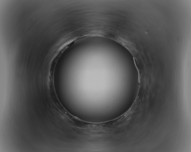 X0000088210338200705221748