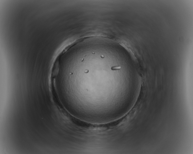 X0000088210340200705221748