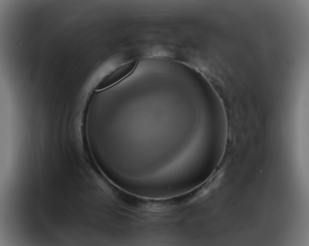 X0000088210341200705221748