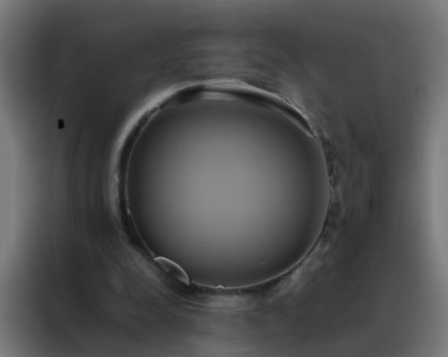 X0000088210342200705221748