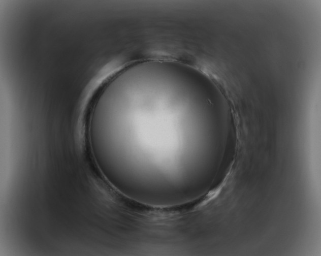 X0000088210343200705221748