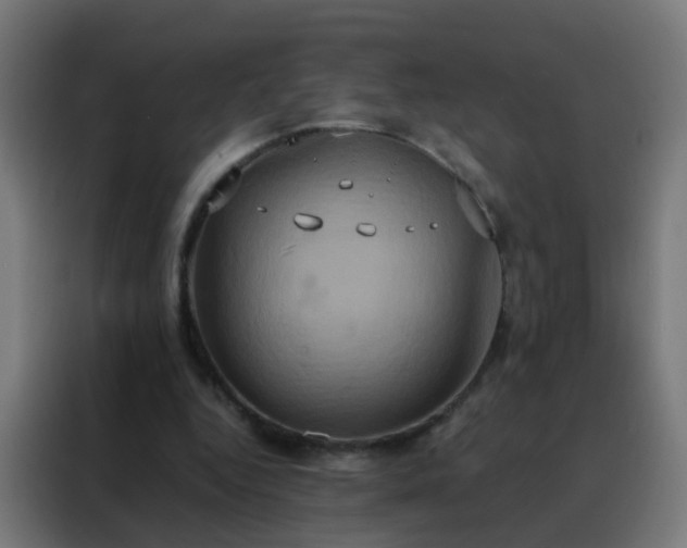 X0000088210344200705221748
