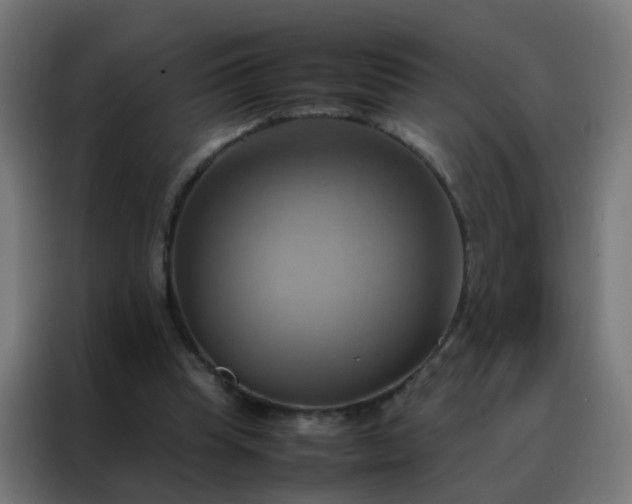 X0000088210345200705221748