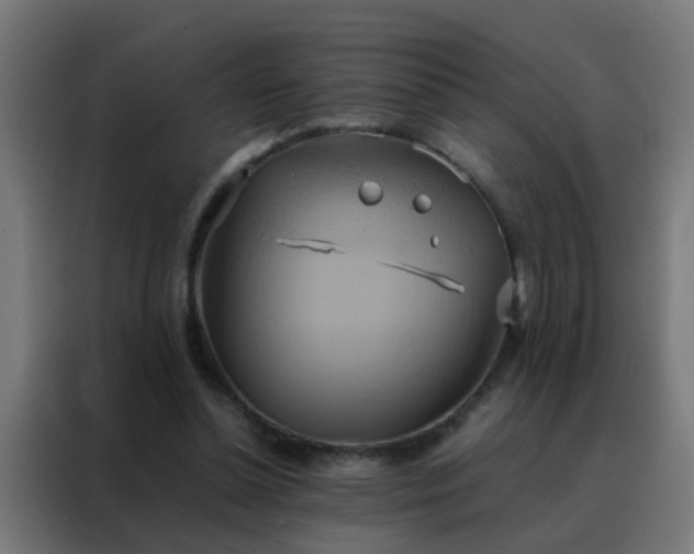 X0000088210348200705221748