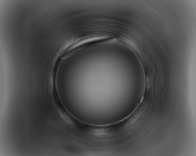 X0000088210349200705221748