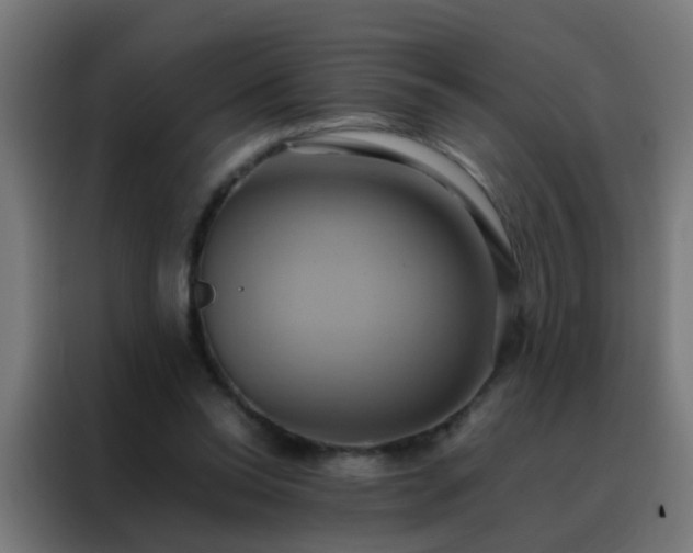 X0000088210350200705221748