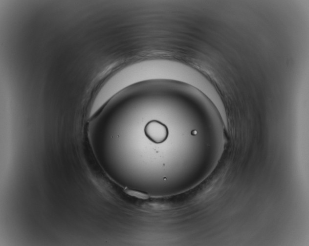 X0000088210352200705221748